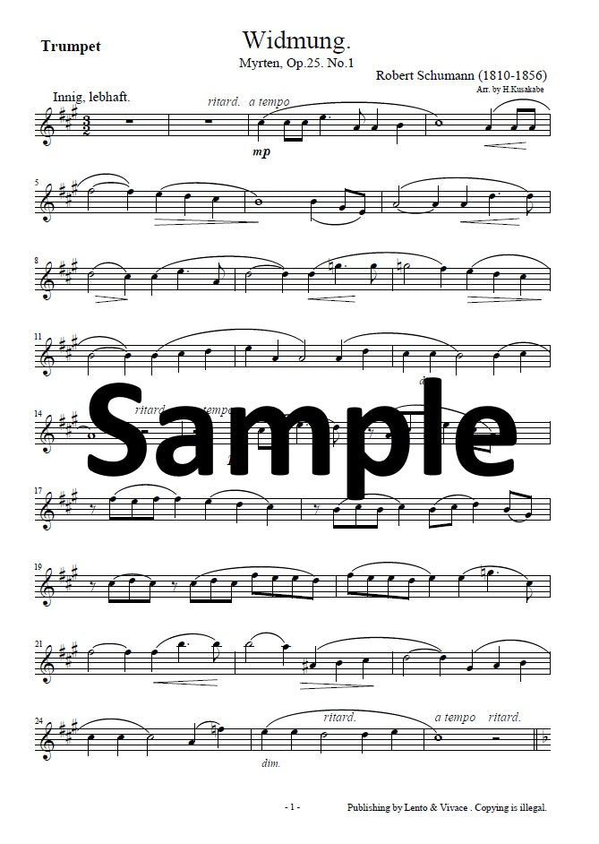 Schumann "Dedication" (from the song collection "Myrthe Flowers")