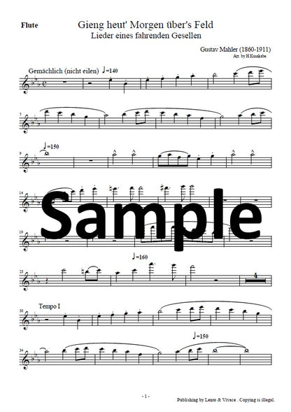 Mahler: “I Went This Morning over the Field” (from Songs of a Wayfarer)