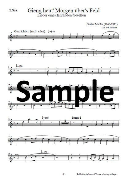 Mahler: “I Went This Morning over the Field” (from Songs of a Wayfarer)
