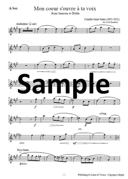 Saint-Saëns "Your voice opens my heart - from the opera Samson and Delilah"