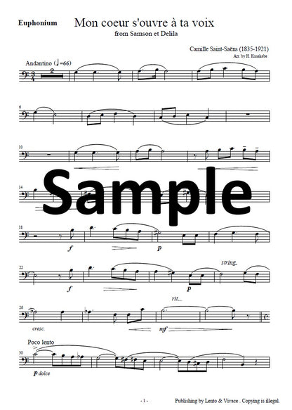 Saint-Saëns "Your voice opens my heart - from the opera Samson and Delilah"