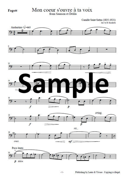 Saint-Saëns "Your voice opens my heart - from the opera Samson and Delilah"