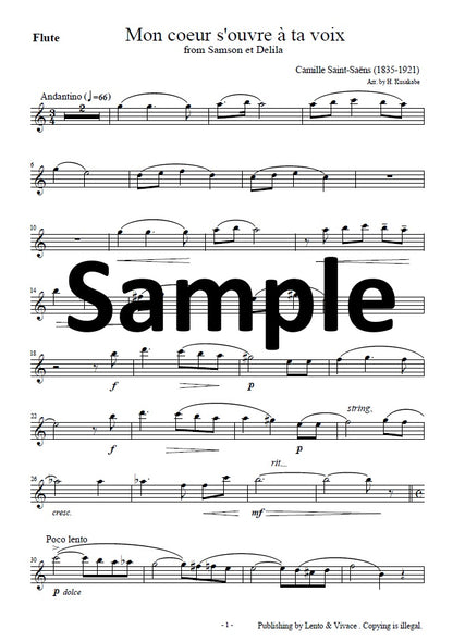Saint-Saëns "Your voice opens my heart - from the opera Samson and Delilah"