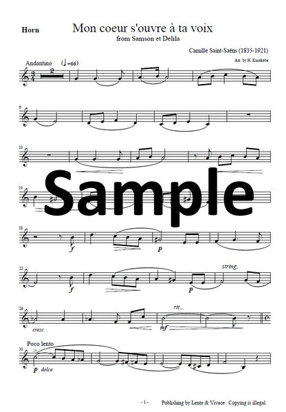Saint-Saëns "Your voice opens my heart - from the opera Samson and Delilah"