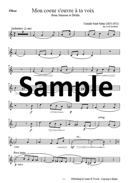 Saint-Saëns "Your voice opens my heart - from the opera Samson and Delilah"
