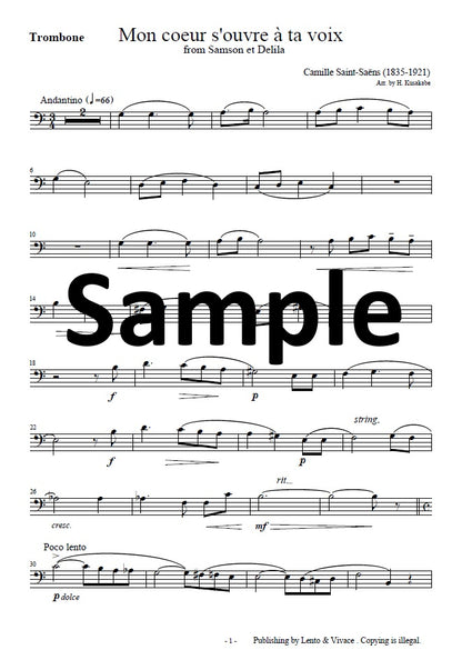 Saint-Saëns "Your voice opens my heart - from the opera Samson and Delilah"