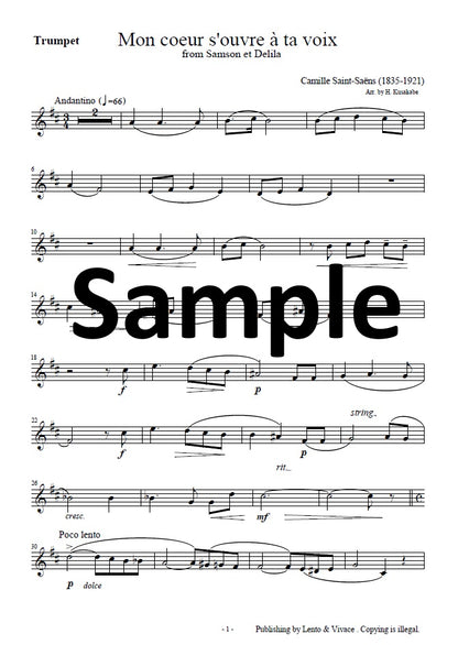 Saint-Saëns "Your voice opens my heart - from the opera Samson and Delilah"