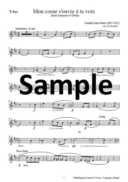 Saint-Saëns "Your voice opens my heart - from the opera Samson and Delilah"