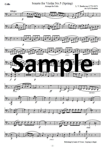 Beethoven „Violinsonate Nr. 5 (Frühling) 1. Satz" lange Version