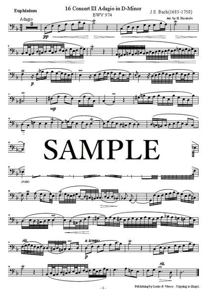 Bach "Concerto en ré mineur Adagio (sur le Concerto pour hautbois de Marcello) BWV 974 II"