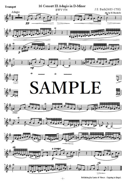 Bach "Concerto en ré mineur Adagio (sur le Concerto pour hautbois de Marcello) BWV 974 II"