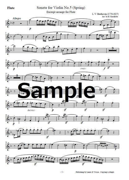 Beethoven "Violin Sonata No. 5 (Spring)"　Extracto arreglado Ver corto.