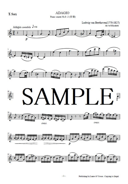 Beethoven "Sonate pour piano n° 8 (Pathétique) 2ème mouvement"