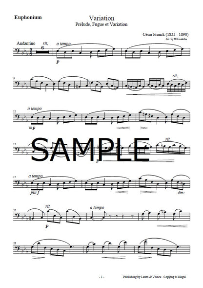 Franck „Variationen“ (aus Präludium, Fuge und Variationen)