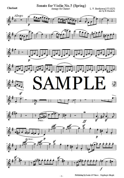 Beethoven "Violin Sonata No. 5 (Spring) 1st Movement" long version